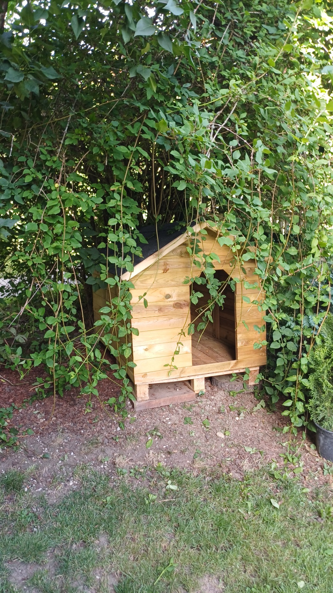 Endtekt das Hundehaus im Grten!! 